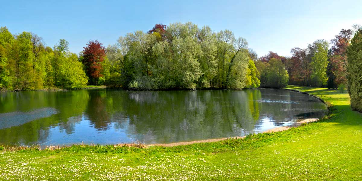 Image of pond landscape
