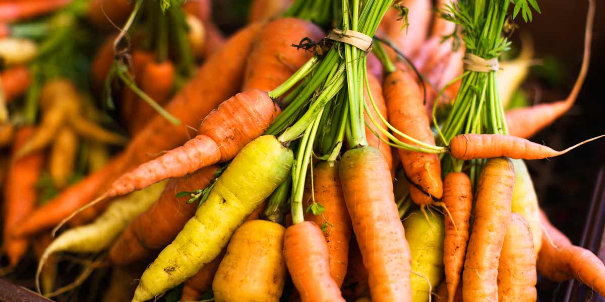 Image of carrots