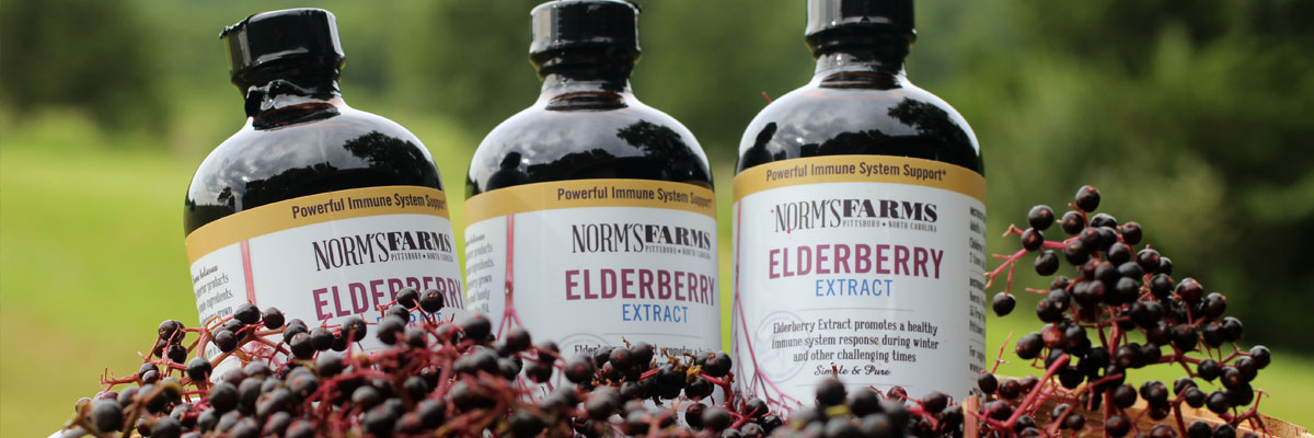 Norm's Farm Elderberry Extract