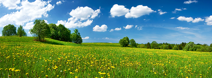 Image of landscape