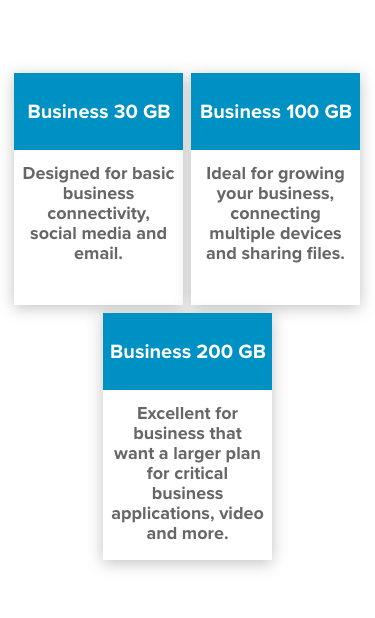 HughesNet Business Plan Descriptions