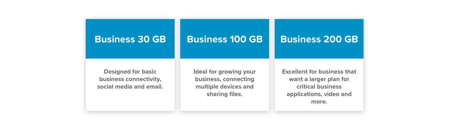 HughesNet Business Plan Descriptions