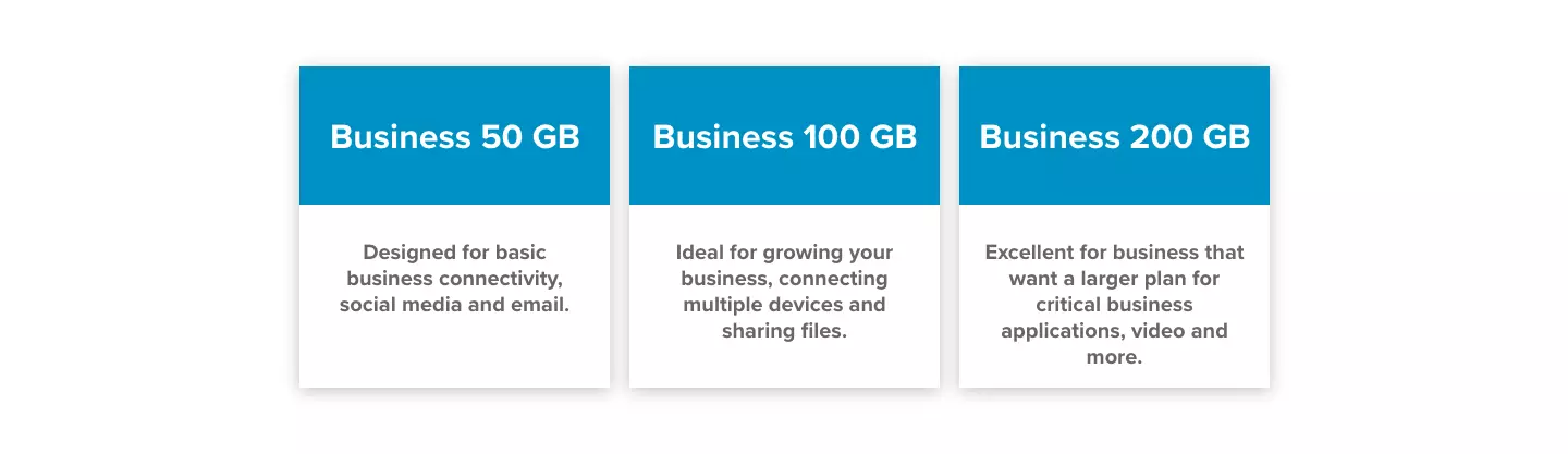 HughesNet Business Plan Descriptions