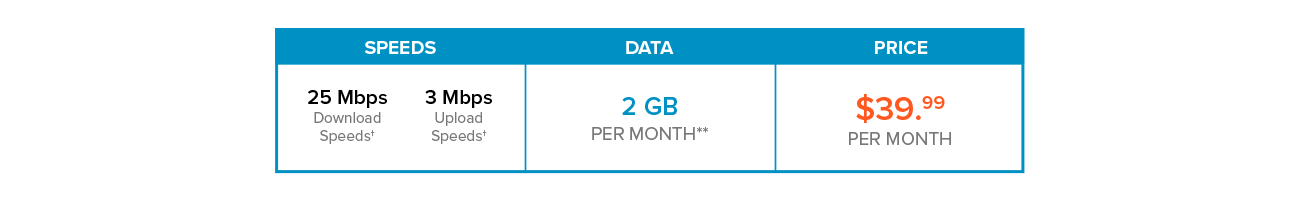 Internet Continuity Pricing