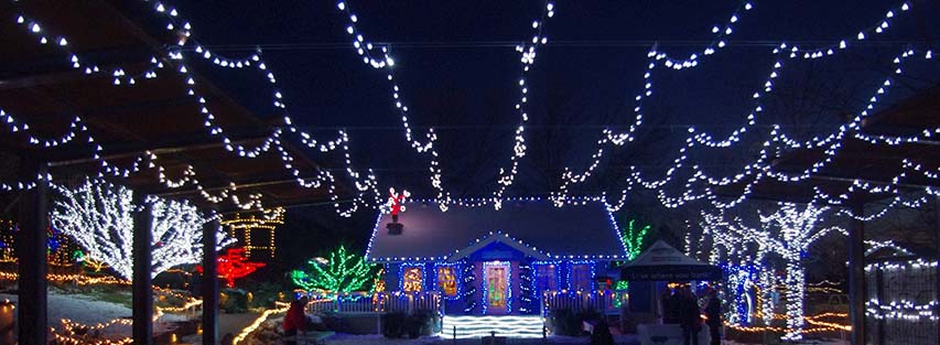 Holiday lights image