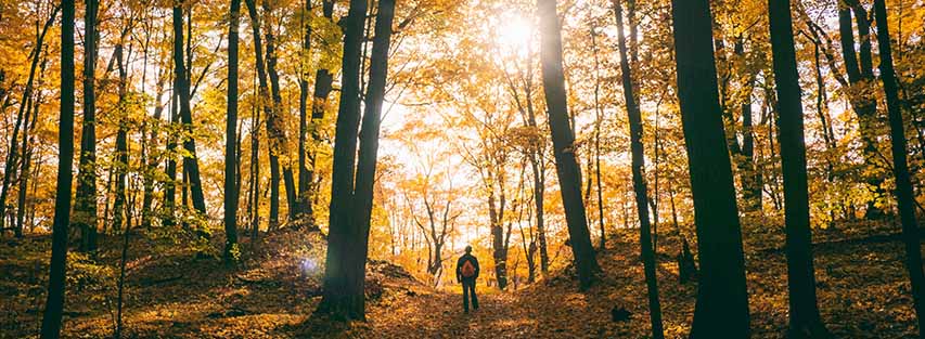 Hiker image