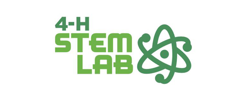 Stem Lab logo