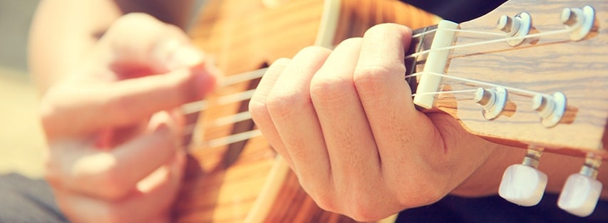 Ukelele player image