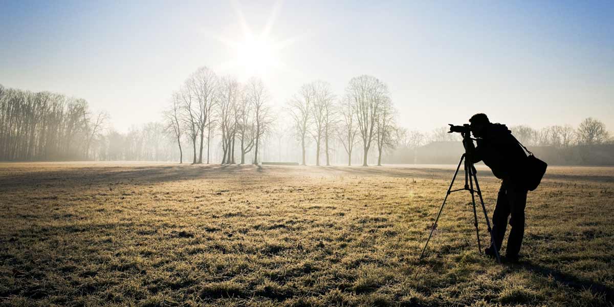 Image of man bird watching