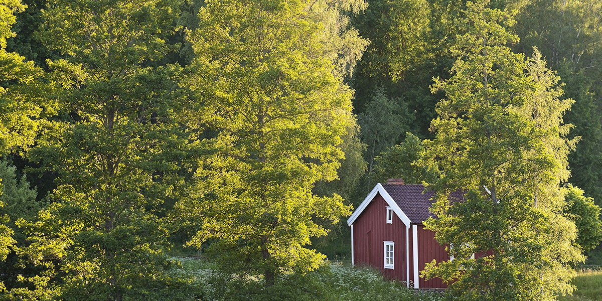Image of red house in nature