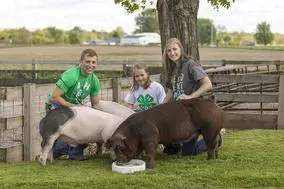 group of students with pigs