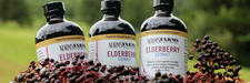 Norm's Farm Case Study Norm's Farm Elderberry Extract