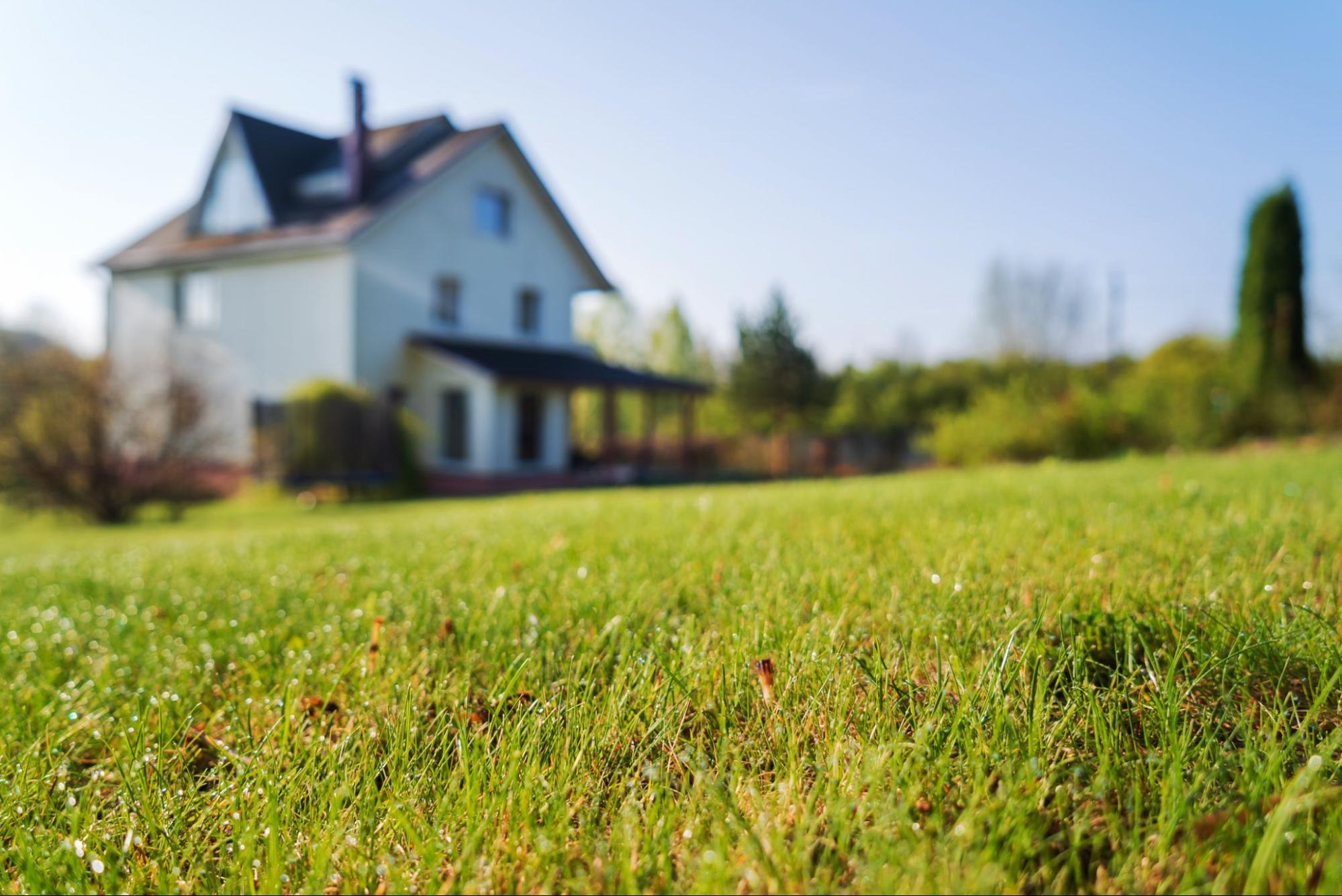 Rural landscape with house in the background 