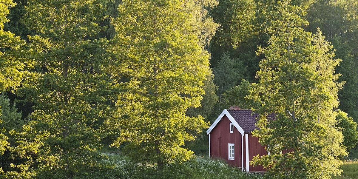 Image of red house in nature