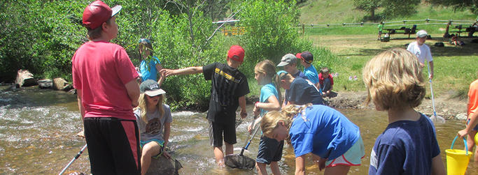 4-H Camp Image