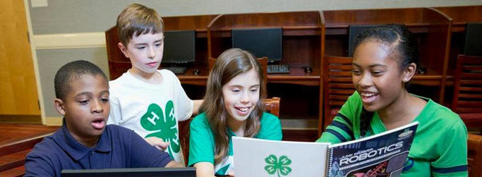 4-H image