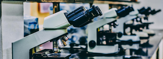 Line of microscopes image