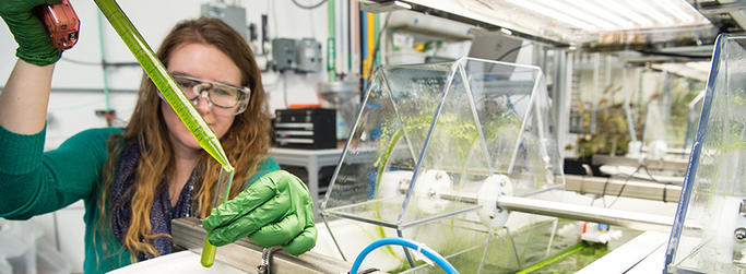 Scientist Image