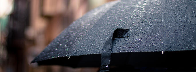 Umbrella image