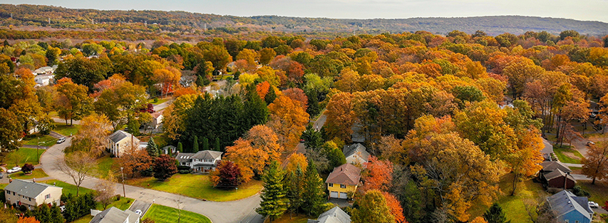 Suburbs image